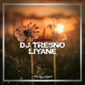 DJ TRESNO LIYANE artwork