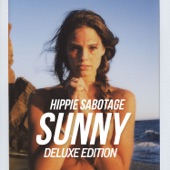 The Sunny Album (Deluxe Edition) artwork