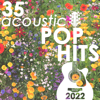 35 Acoustic Pop Hits 2022 (Instrumental) - Guitar Tribute Players