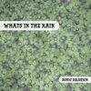 What's in the Rain - Single