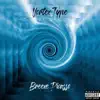 Vortex Type - Single album lyrics, reviews, download