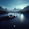 Cry - Single album lyrics, reviews, download