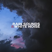 Rain Sounds & White Noise artwork