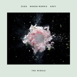 THE MIDDLE cover art