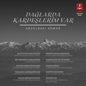 Dağlarda Kardeşlerim Var artwork