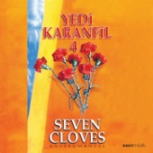 Yedi Karanfil, Vol. 4 (Seven Cloves Enstrumantal) artwork