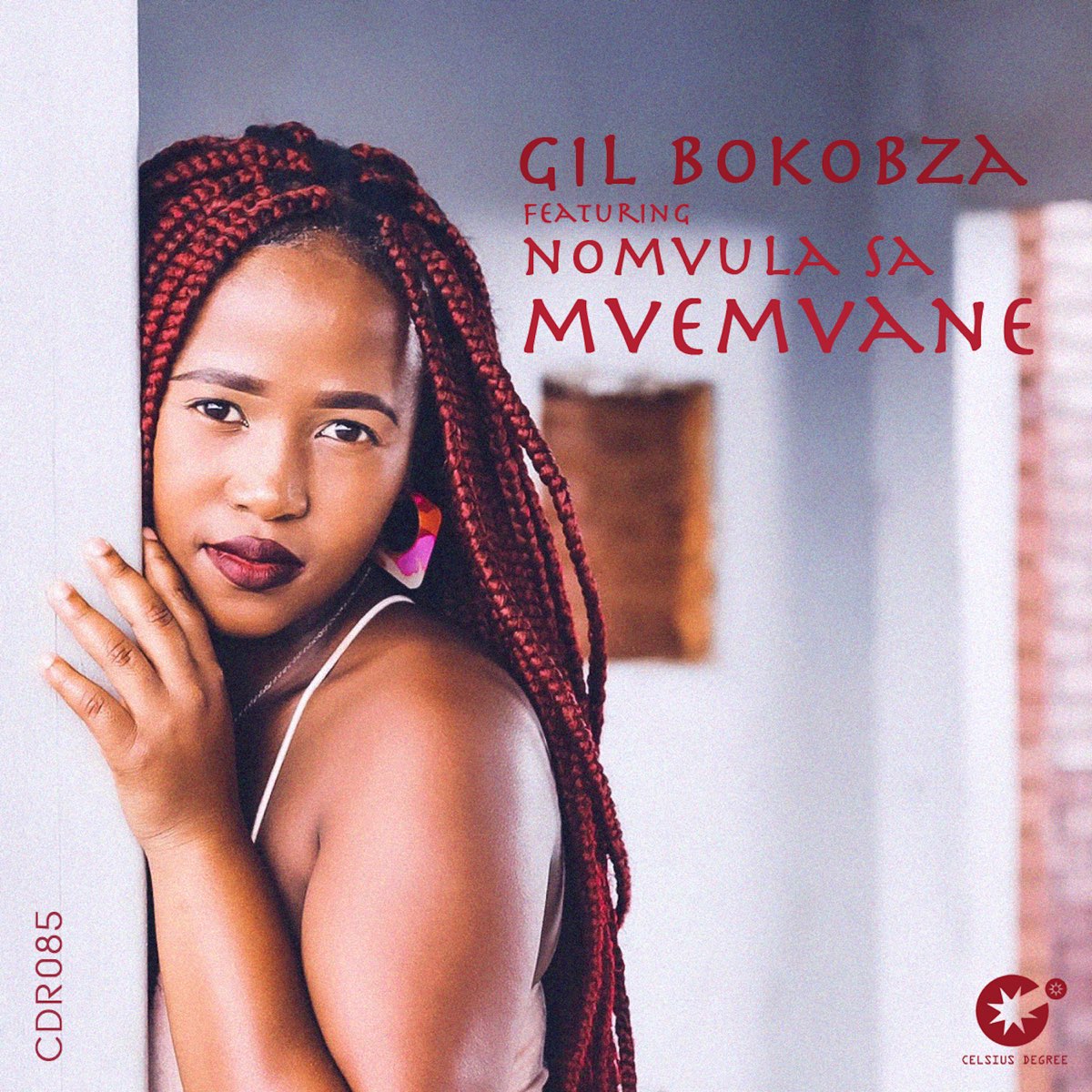 ‎mvemvane - Single By Gil Bokobza & Nomvula Sa On Apple Music