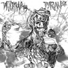 split 7" with Tyran - Single