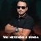 Vai Mexendo a Bunda (feat. MC RD) - Dj Thebest lyrics