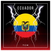 Ecuador (Hardstyle Version) artwork