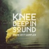 Knee Deep in Sound: Miami 2017 Sampler, 2017