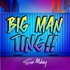 Big Man Ting - Single