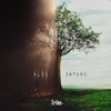 Algo Íntimo - Single