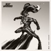 Flying Dolphin - Single