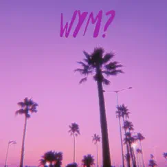 Wym? (Remix) - Single by Waddy album reviews, ratings, credits