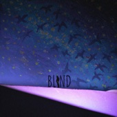 Blind artwork