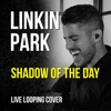 Shadow of the Day - Single