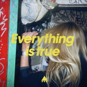 Everything Is True artwork