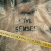 FIVE SENSES, 2022