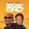 Are You Mad? (feat. Gato Boy) - Kaklous lyrics