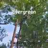 Evergreen song lyrics