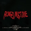 Romeo Must Die - Single