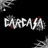 Carcasa - Single album lyrics, reviews, download