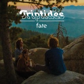 Triptides - Fate