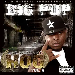 ladda ner album Big Pup - Undaground Hog Vol 2