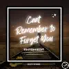 Cant Remember To Forget You (Tiktok Edit) - Single album lyrics, reviews, download