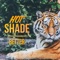 Better - Hot Shade lyrics