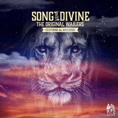 Song of the Divine (feat. Al Anderson) - Single