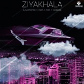 Ziyakhala artwork