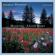 Valse Frontenac - George Winston