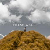 These Walls artwork