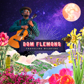 Traveling Wildfire - Dom Flemons
