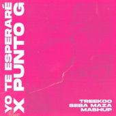 Punto G Vs Yo Te Esperare (Remix) artwork