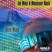 Acid Mind artwork