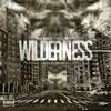 Wilderness (feat. TipTop) - Single album lyrics, reviews, download