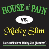 House Of Pain vs. Micky Slim - Jump Around