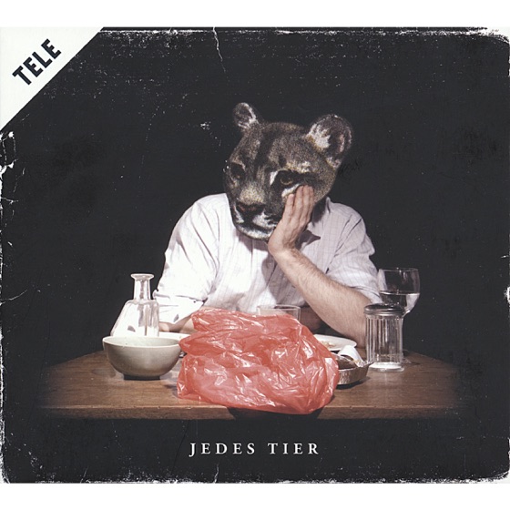 Cover artwork for Foto