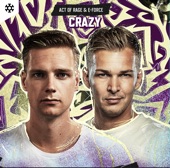 Crazy (Extended Mix) artwork