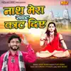 Nath Mere Sankat Kaat Diye song lyrics