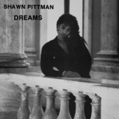 Shawn Pittman - Dreams (remix)