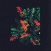 Dark Sky - The Walker