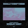 Really Don't Mind - Single