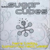 The Sugarcubes - Regina