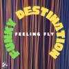 Feeling Fly - EP