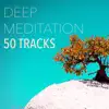 Deep Meditation - 50 Tracks for Shamanic Journeying, White Noise Soothing Soundscapes album lyrics, reviews, download