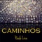 Caminhos (feat. Marcio Miguel & Fernando Lima) - Paulo Lira lyrics